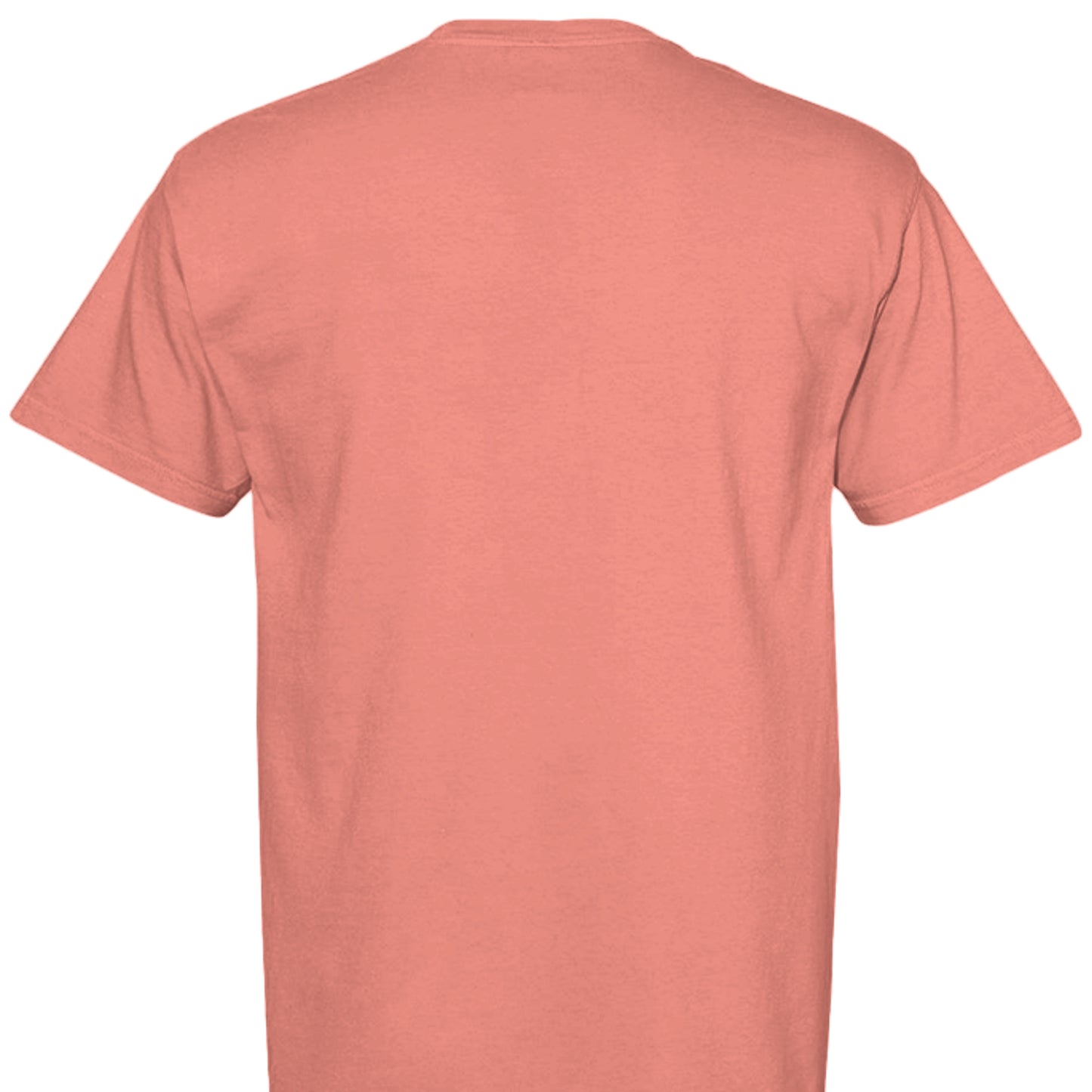 BRIGHT SALMON - C1717 - BACK