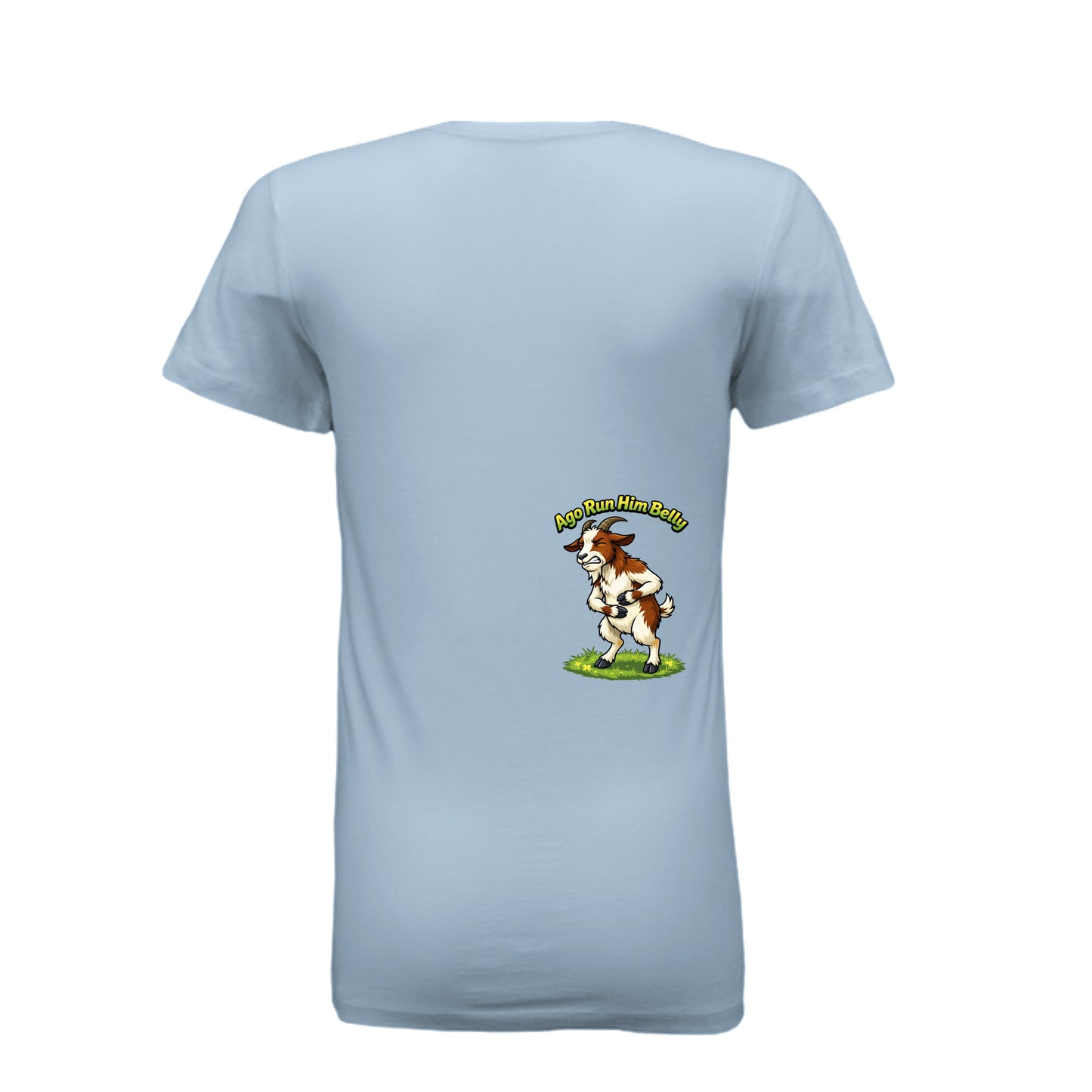 BABY BLUE - 6004 - BACK