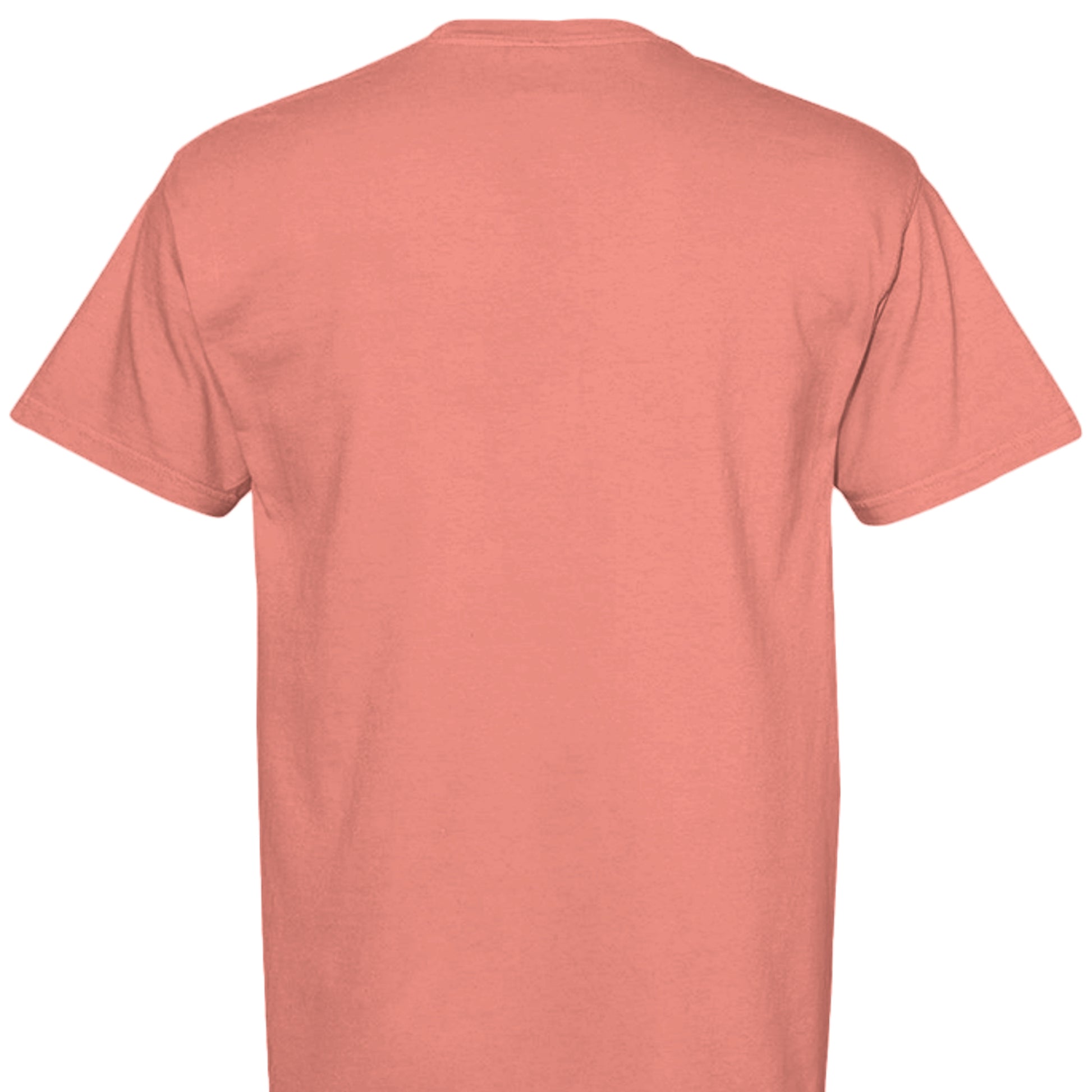BRIGHT SALMON - C1717 - BACK