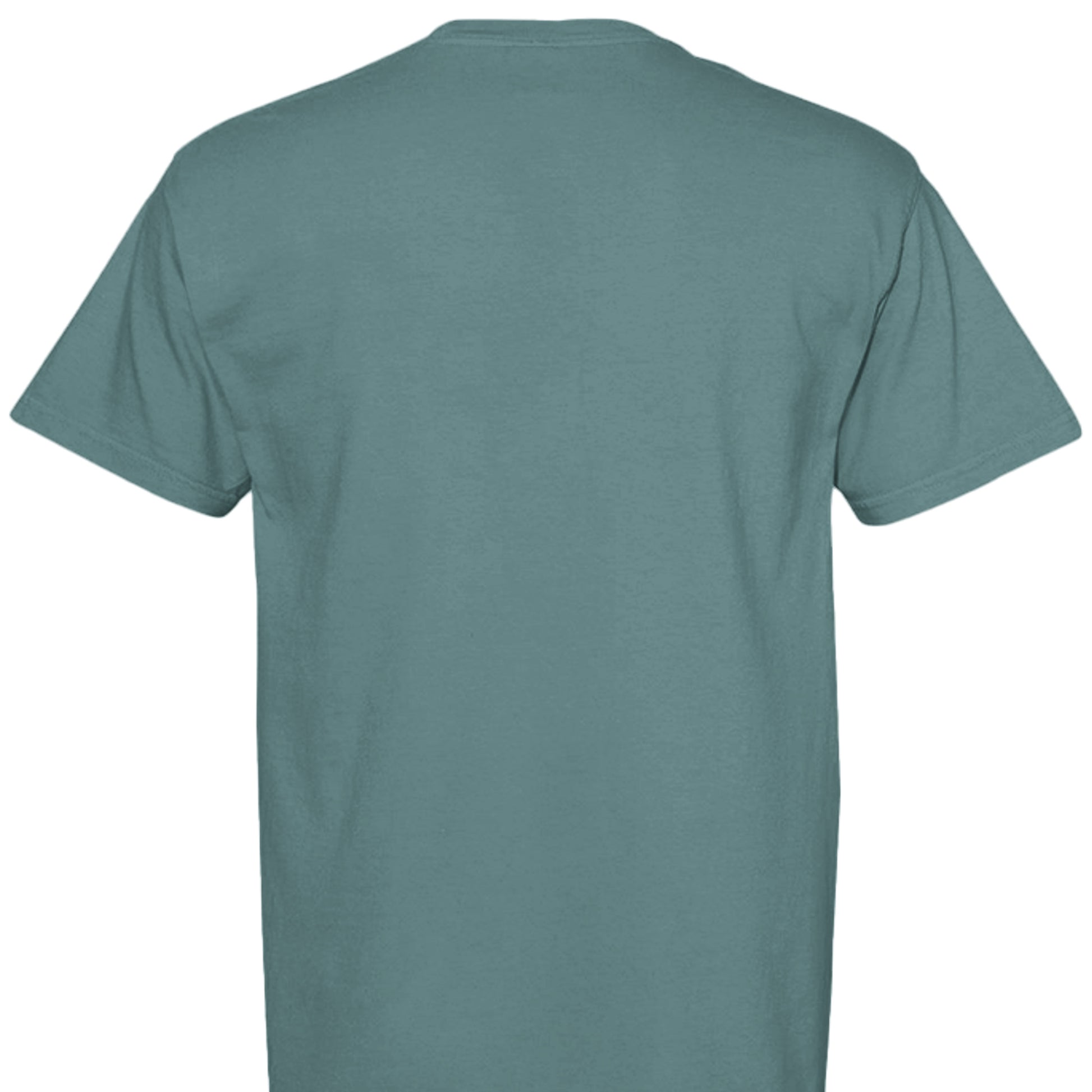 ICE BLUE - C1717 - BACK