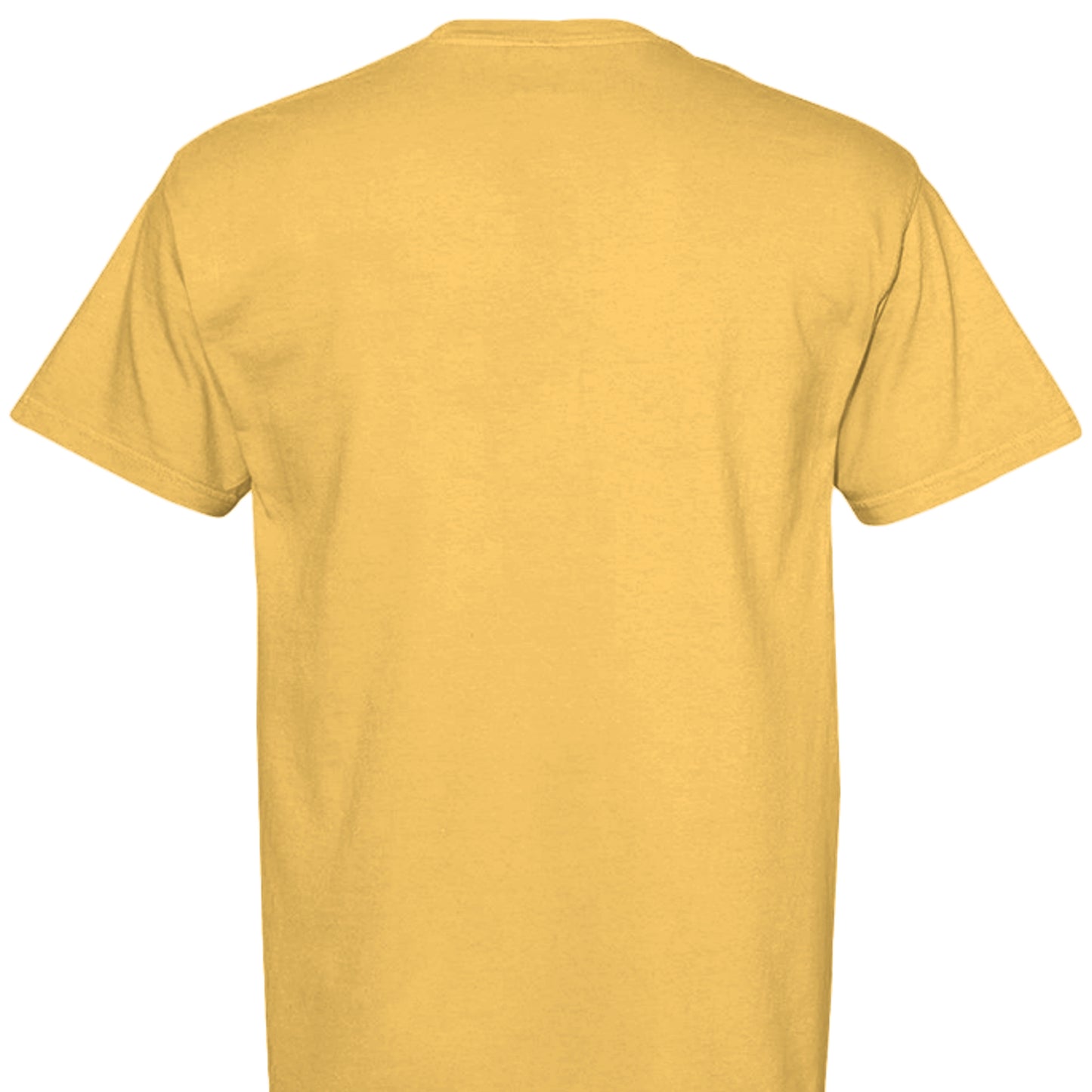 CITRUS - C1717 - BACK