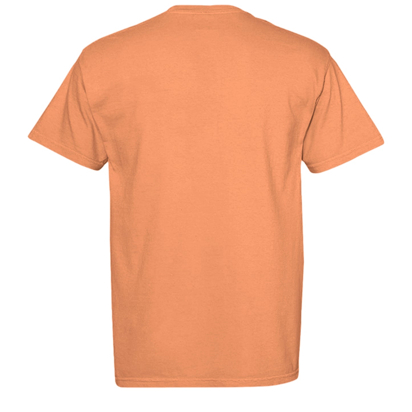 BURNT ORANGE - C1717 - BACK