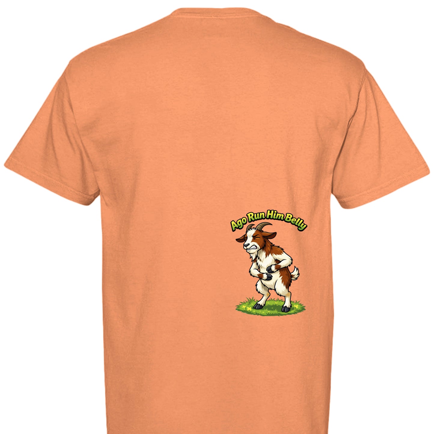 BURNT ORANGE - C1717 - BACK