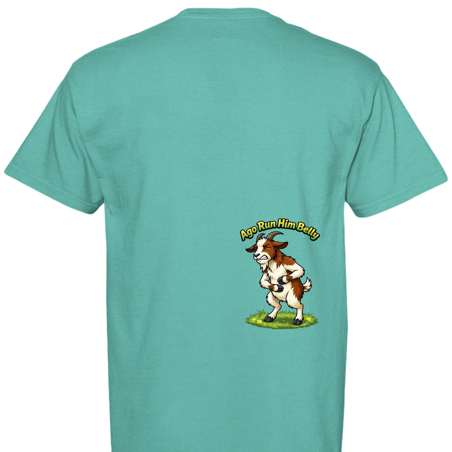 ISLAND REEF - C1717 - BACK