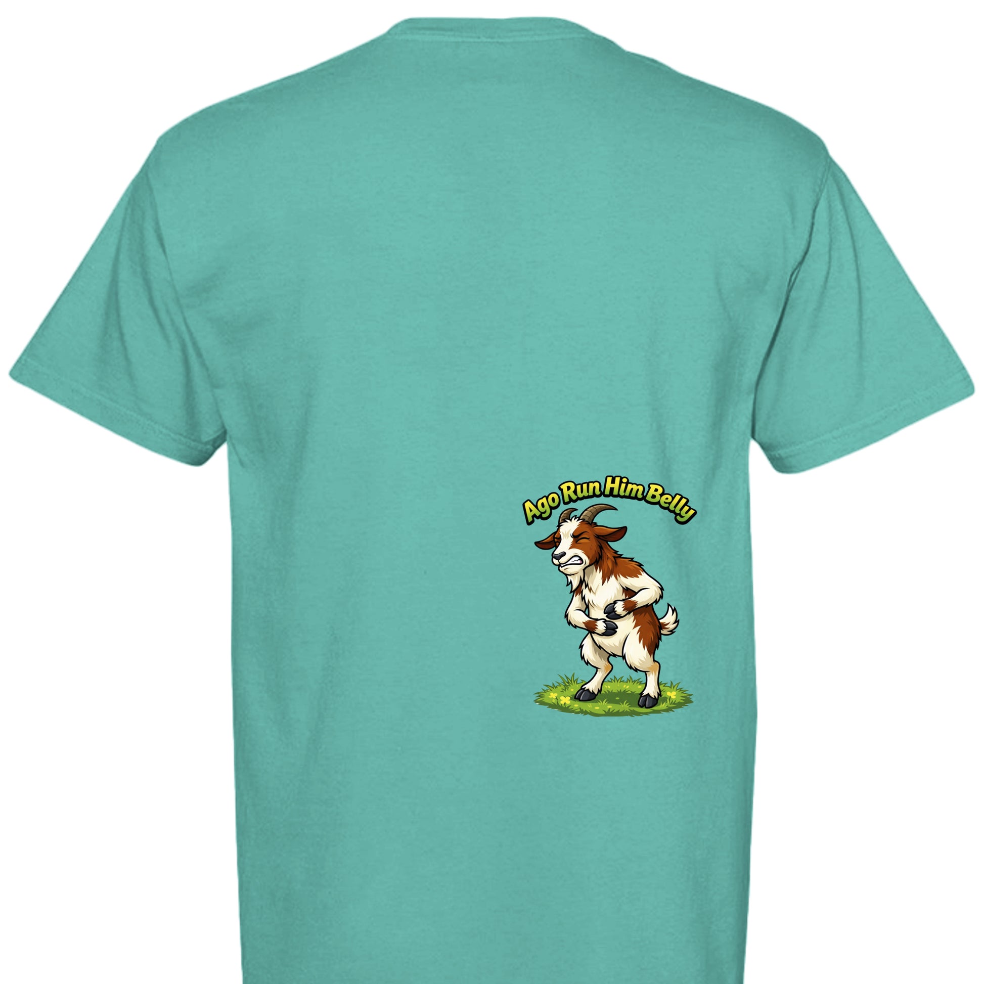 ISLAND REEF - C1717 - BACK