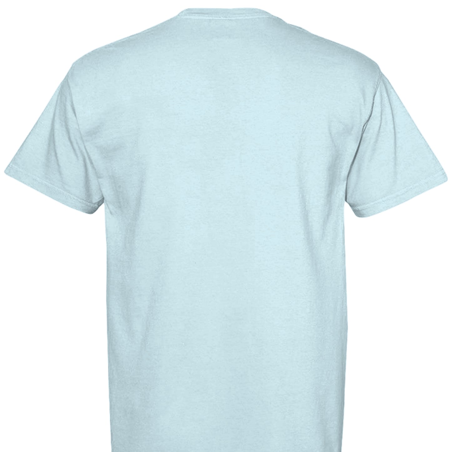 CHAMBRAY - C1717 - BACK