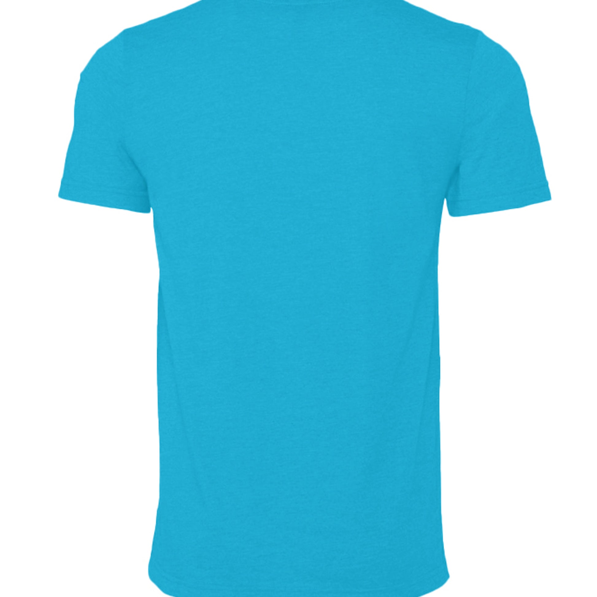 Neon Blue - 3001CVC - BACK