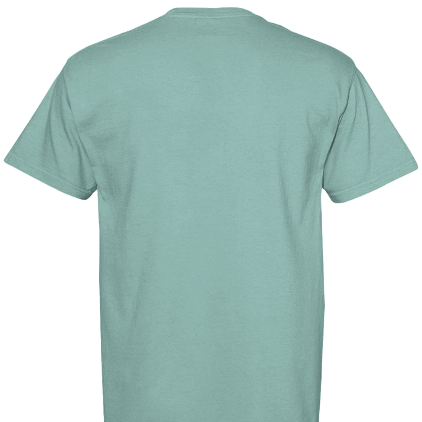 SEAFOAM - C1717 - BACK
