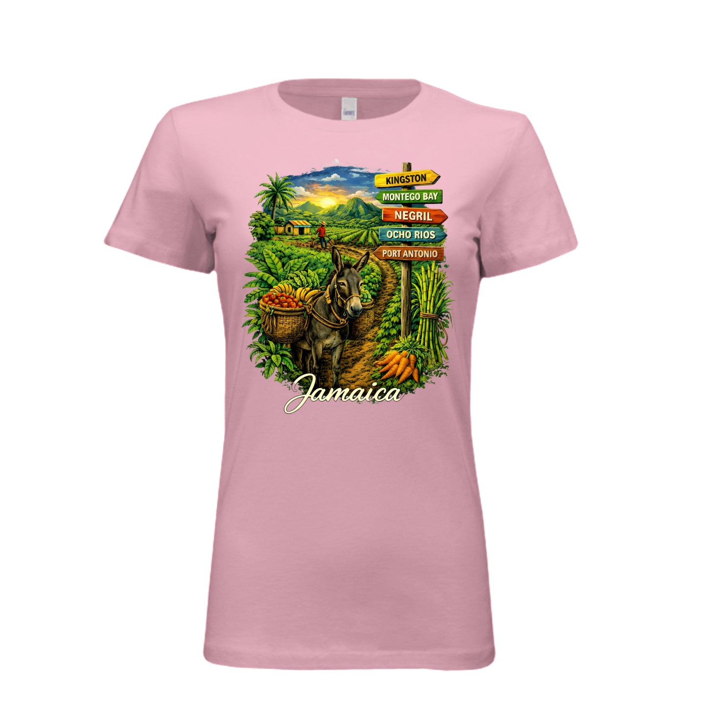 PINK - 6004 - FRONT